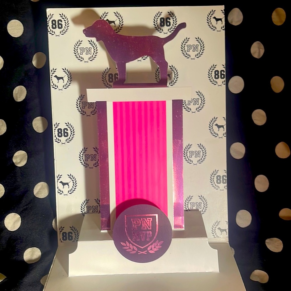 Vintage Victoria’s Secret PINK 3D pop up PN MVP streak mailer